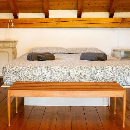 Il Gelsomino - Country House With Private Terrace Holiday home *